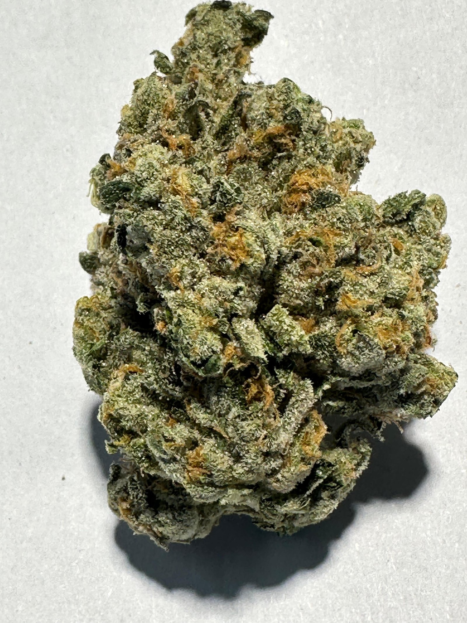 Bud Image 2